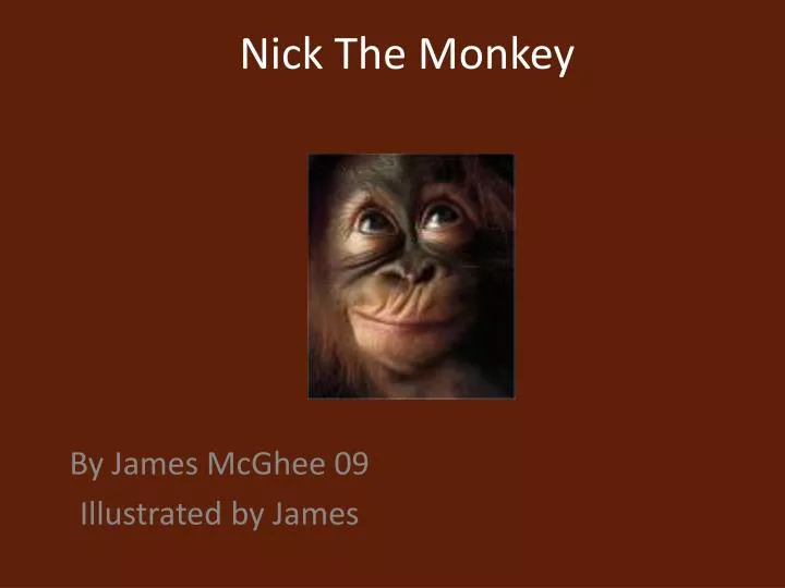 nick the monkey