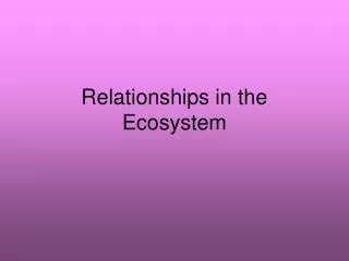 Relationships in the Ecosystem