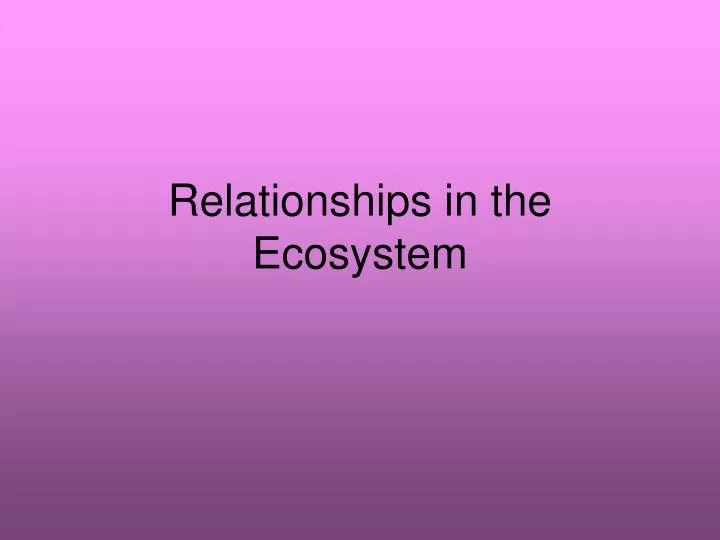 relationships in the ecosystem