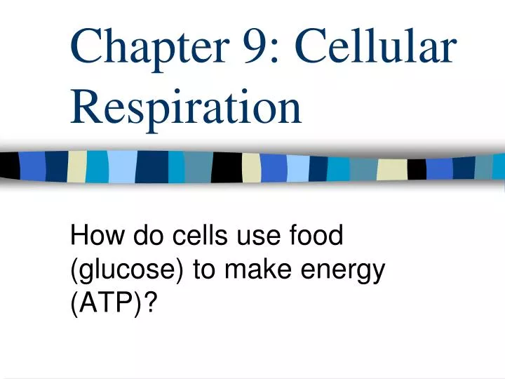 chapter 9 cellular respiration