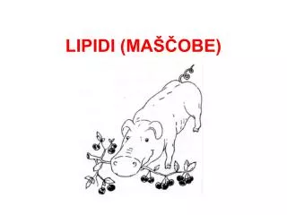 lipidi ma obe