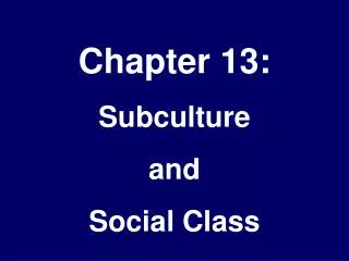 Chapter 13: Subculture and Social Class