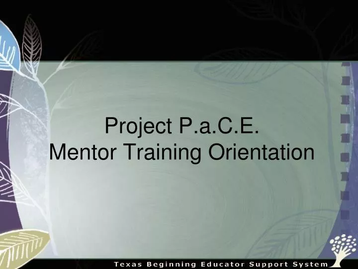 project p a c e mentor training orientation
