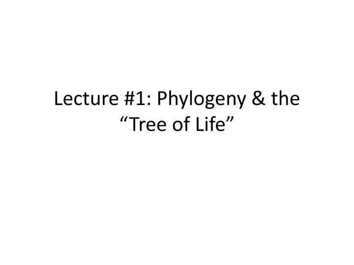 lecture 1 phylogeny the tree of life