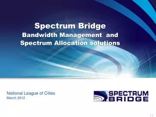 Spectrum Bridge Bandwidth Management and Spectrum Allocation solutions