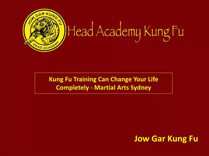 kung fu training can change your life completely martial arts sydney