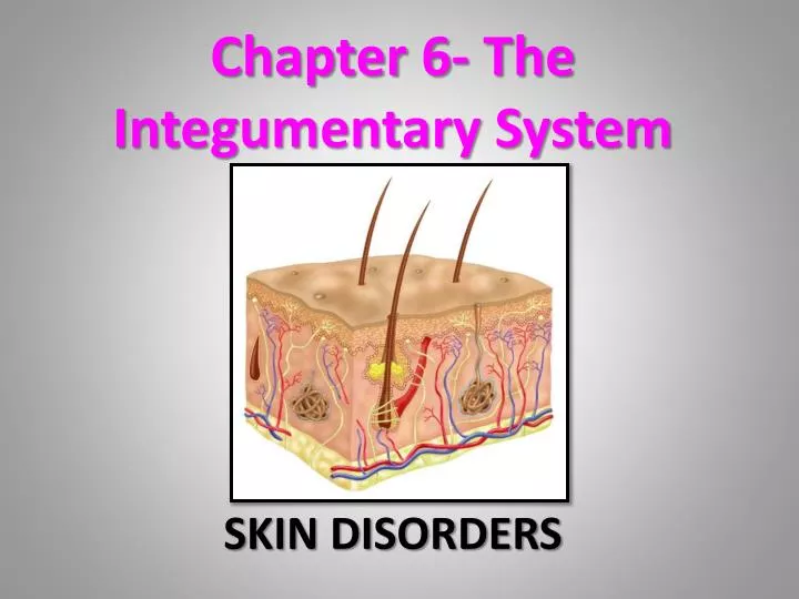 chapter 6 the integumentary system
