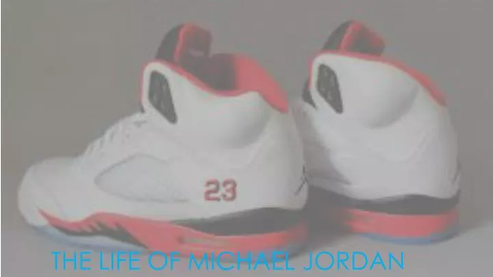 the life of michael jordan