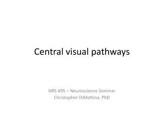 Central visual pathways