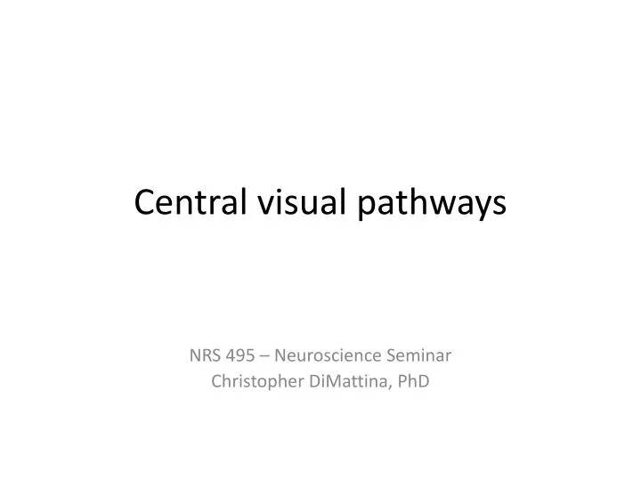 central visual pathways