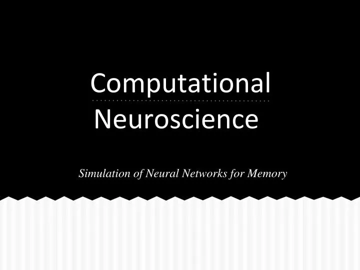 computational neuroscience