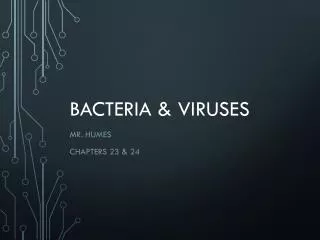 bacteria viruses