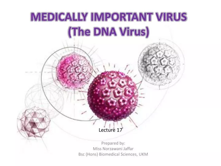 medically important virus the dna virus