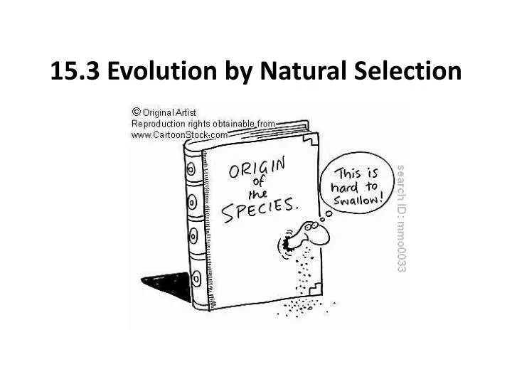 15 3 evolution by natural selection