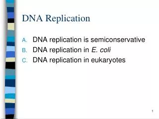 DNA Replication