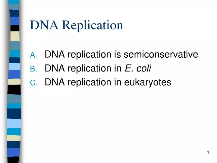 dna replication