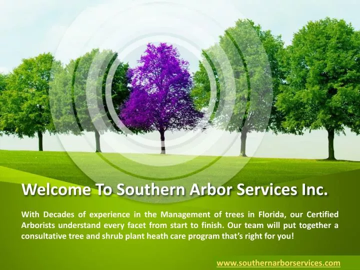 welcome to southern arbor services inc