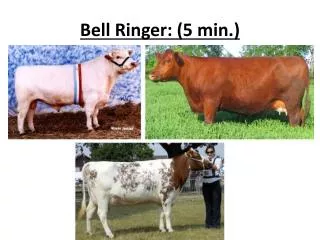 Bell Ringer: (5 min.)