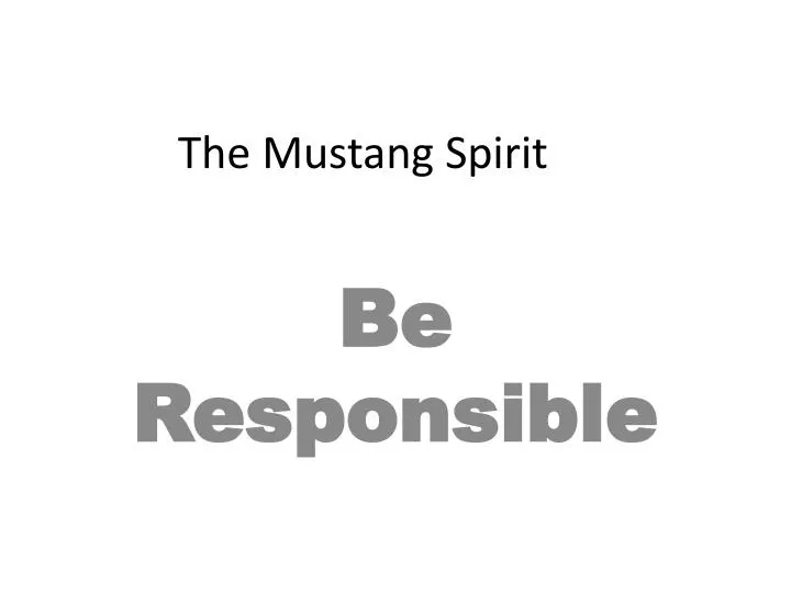 the mustang spirit