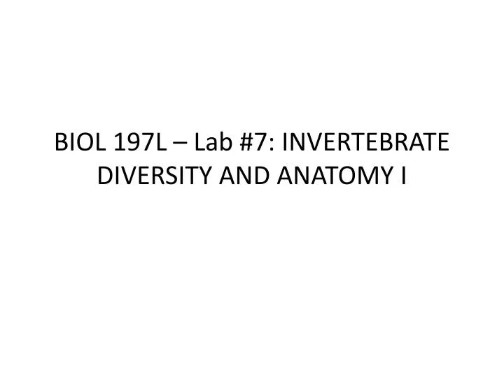biol 197l lab 7 invertebrate diversity and anatomy i