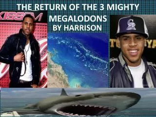 THE RETURN OF THE 3 MIGHTY MEGALODONS
