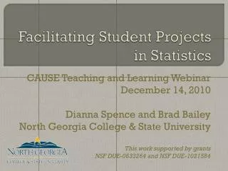 Facilitating Student Projects in Statistics
