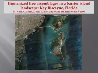 Humanized tree assemblages in a barrier island landscape: Key Biscayne, Florida