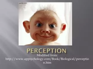 Perception