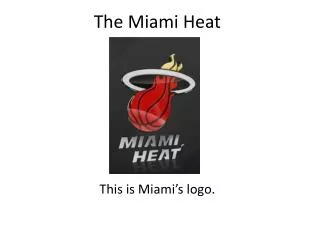 the miami heat