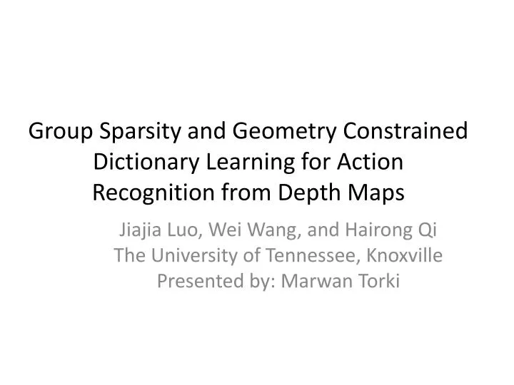 group sparsity and geometry constrained dictionary learning for action recognition from depth maps