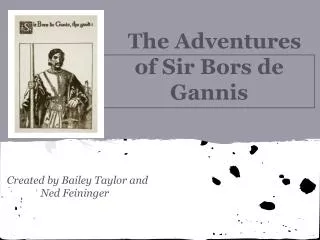 The Adventures of Sir Bors de Gannis