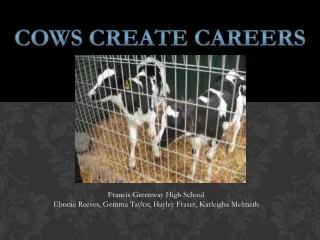 Cows Create Careers