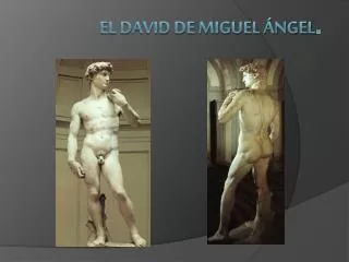 el david de miguel ngel