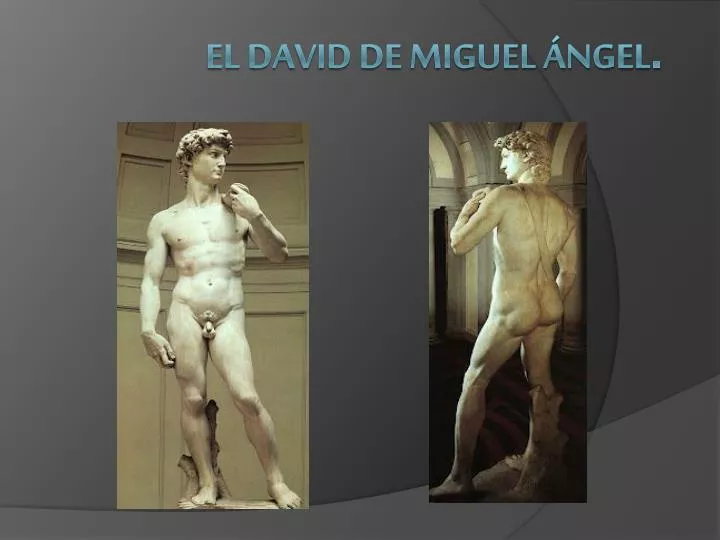 el david de miguel ngel