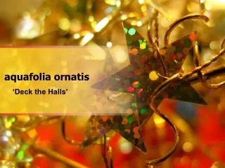 aquafolia ornatis