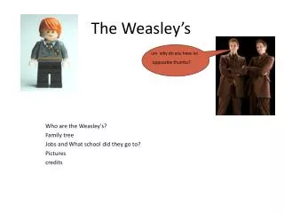 Who are the Weasley's? Family tree Jobs and What school did they go to? Pictures credits