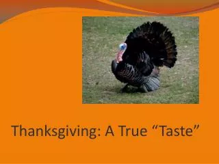 Thanksgiving: A True “Taste”
