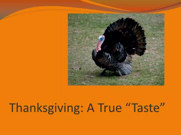 thanksgiving a true taste