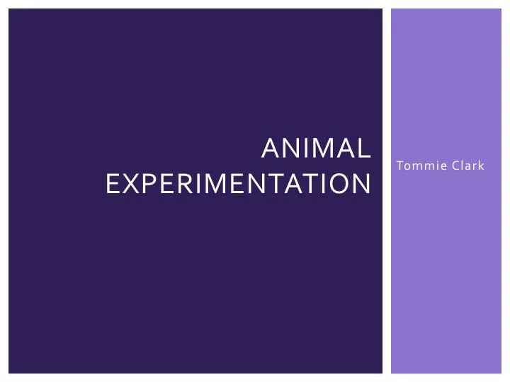 animal experimentation