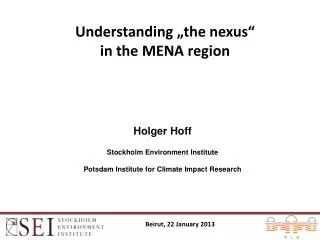 Understanding „ the n exus “ in the MENA region