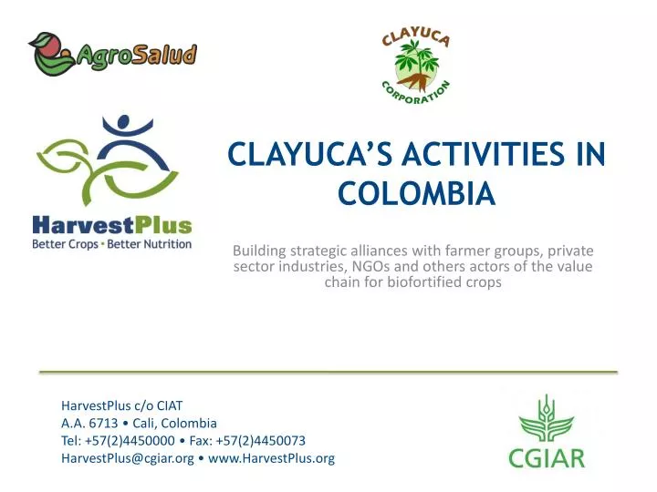 clayuca s activities in colombia