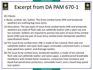 Excerpt from DA PAM 670-1