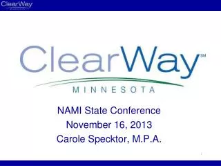 NAMI State Conference November 16, 2013 Carole Specktor, M.P.A.