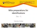 Mite preparations for identifications - slide 1