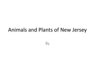 Animals and Plants of New Jersey