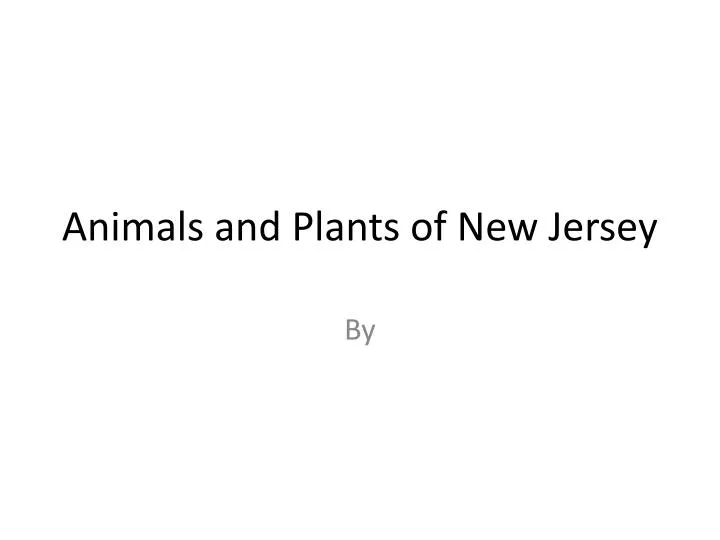 animals and plants of new jersey