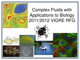 Complex Fluids with Applications to Biology 2011/2012 VIGRE RFG