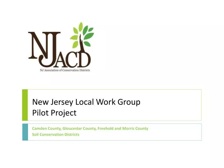 new jersey local work group pilot project
