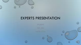 Experts Presentation