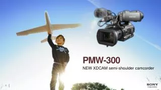 PMW-300